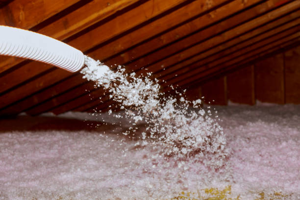 Best Insulation Removal  in Grover Beach, CA